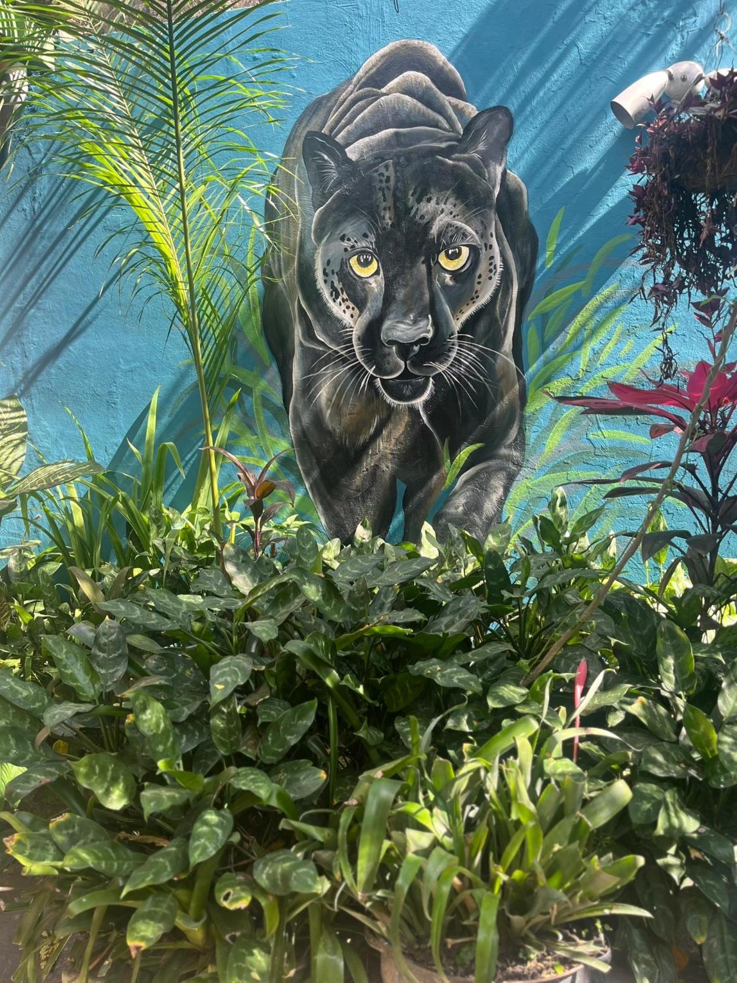 Villa Casa Gabriela Mistral , El Salvador *